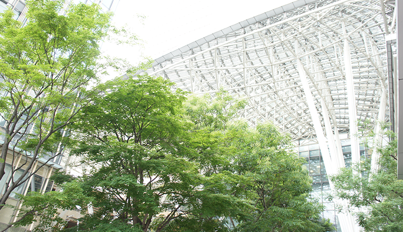 威尼斯下载APP官方会员注册 突然、私は非常に強く激しいオーラが私の顔に向かって吹いているのを感じました.