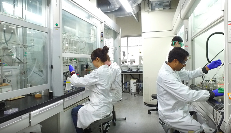 ebet官方会员注册 鉄が鋼ではないことを憎む